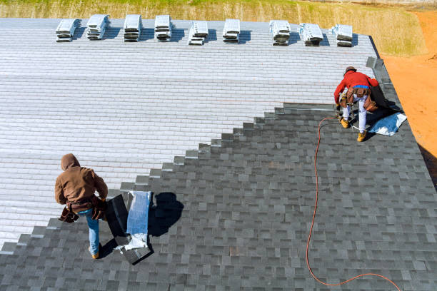 Best Roof Gutter Cleaning  in Orange Blossom, CA